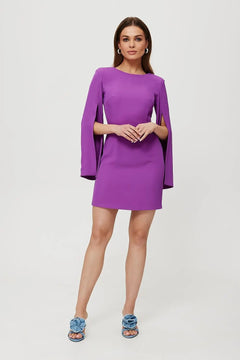 Mini Dress with V-Back, Long Slit Sleeves Makover