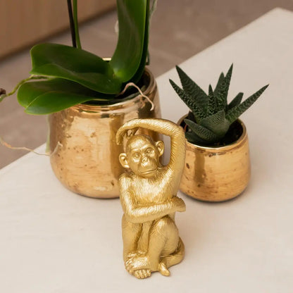 Kolibri Home | Ornament - Decoratie beeld Sitting Monkey - Gold Everspring