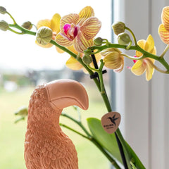 Kolibri Home | Ornament - Decoratie beeld Toucan - Peach Everspring