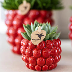 Kolibri Home | Berry pot - Ø6cm Everspring