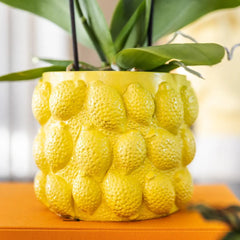 Kolibri Home | Citrus pot yellow - Ø9cm Everspring