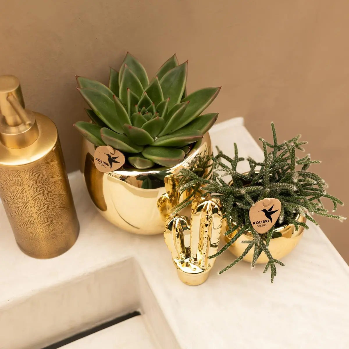 Kolibri Home | Ornament - Decoratie beeld Cactus - Gold Everspring