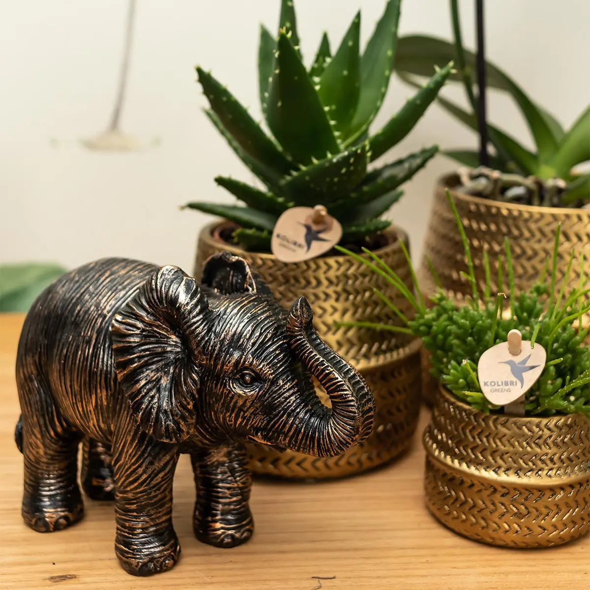 Kolibri Home | Ornament - Decoratie beeld Elephant - Black Everspring