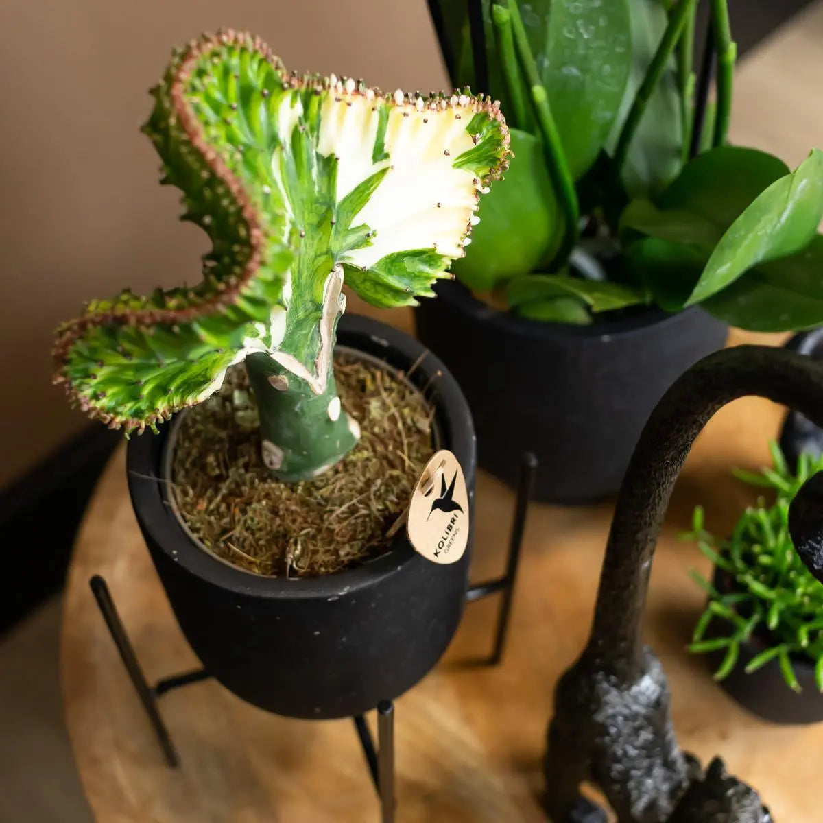 Kolibri Home | Plantenstandaard - Zwart metalen planten verhoging Ø12cm Everspring