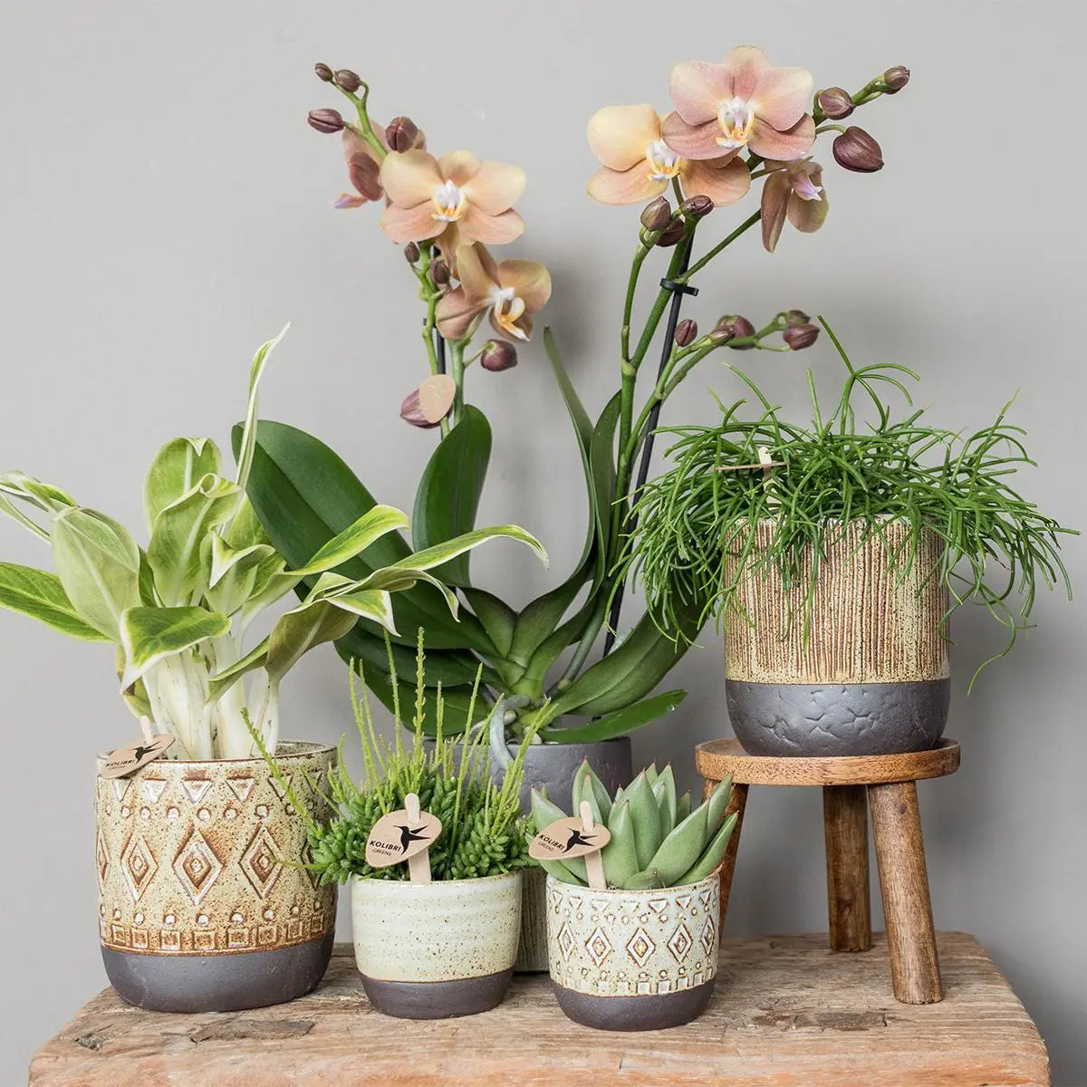 Kolibri Home | Plantenstandaard - Houten planten verhoging Ø12cm Everspring