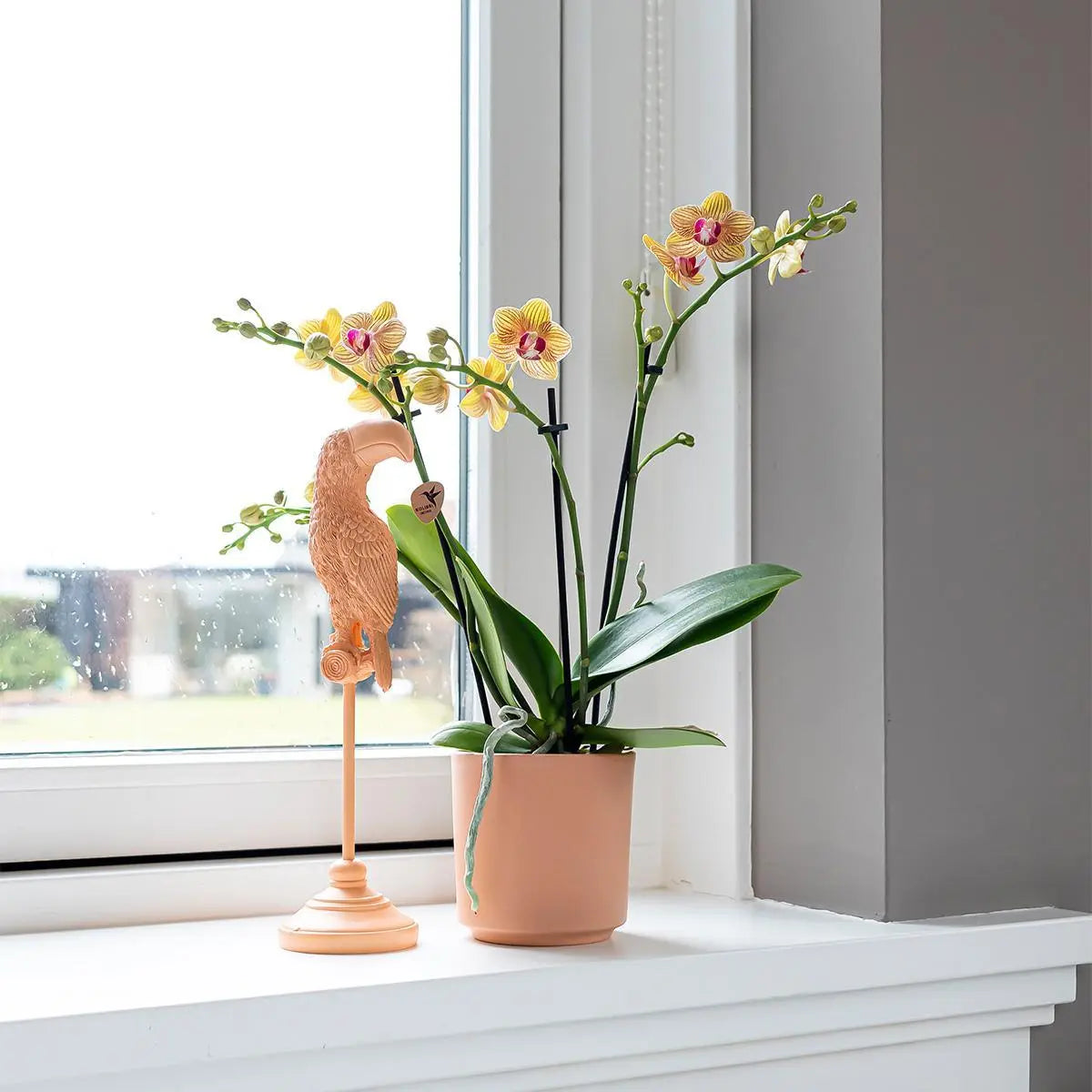 Kolibri Home | Ornament - Decoratie beeld Toucan - Peach Everspring