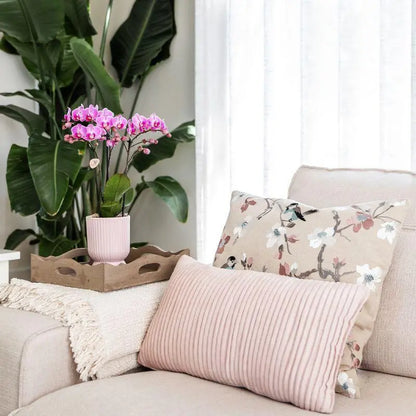 Kolibri Orchids | Plantenset Floral Blush pink small| Groene planten met Phalaenopsis orchidee in Floral Blush pink sierpotten en wit dienblad Everspring