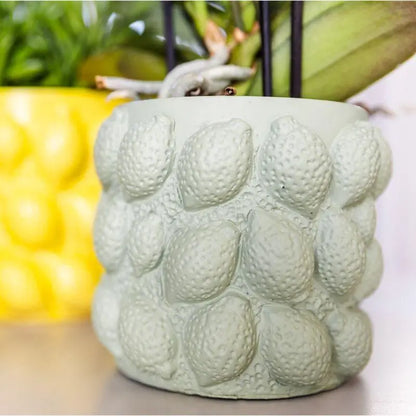 Kolibri Home | Citrus pot groen - Ø12cm Everspring