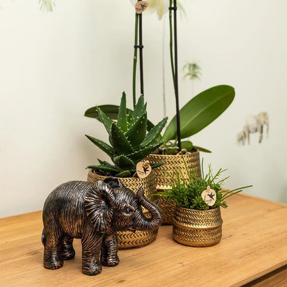 Kolibri Home | Ornament - Decoratie beeld Elephant - Black Everspring