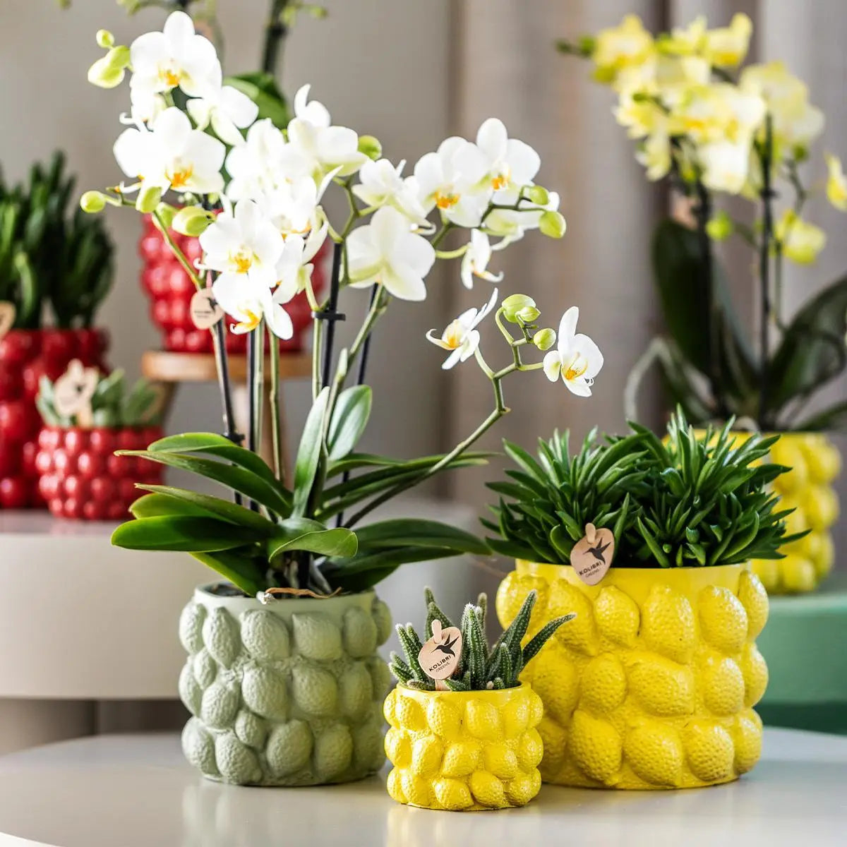 Kolibri Home | Citrus pot yellow - Ø9cm Everspring