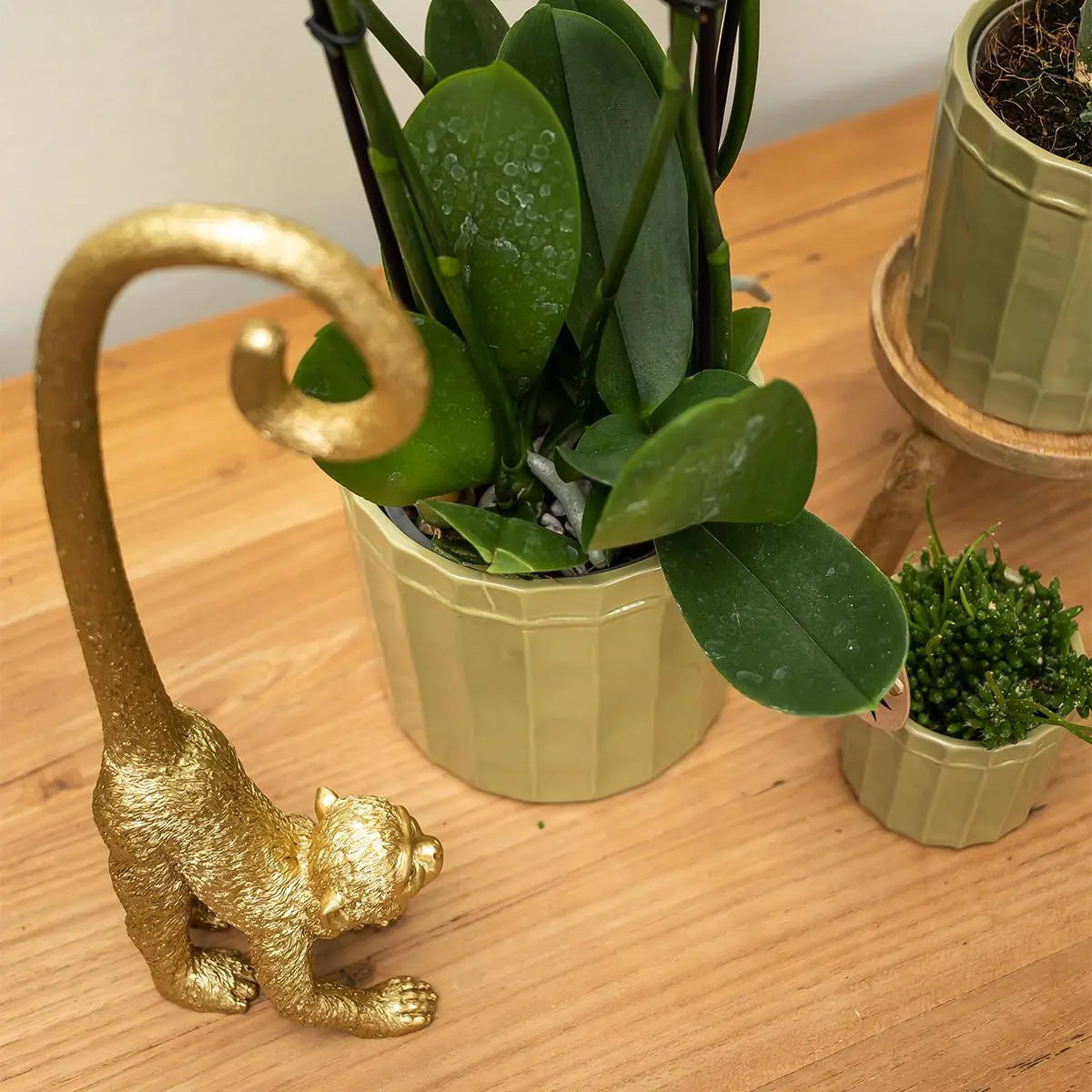 Kolibri Home | Ornament - Decoratie beeld Monkey long tail - Gold Everspring