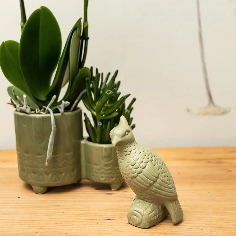 Kolibri Home | Ornament - Decoratie beeld Cockatoo - Green Everspring