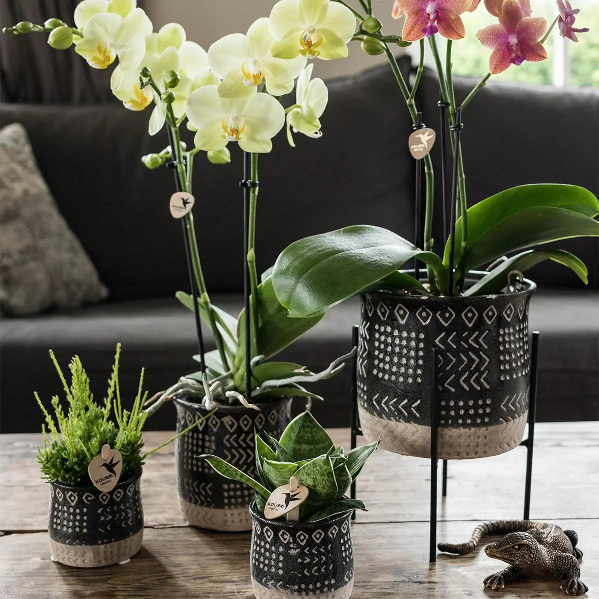 Kolibri Home | Plantenstandaard - Zwart metalen planten verhoging Ø12cm Everspring