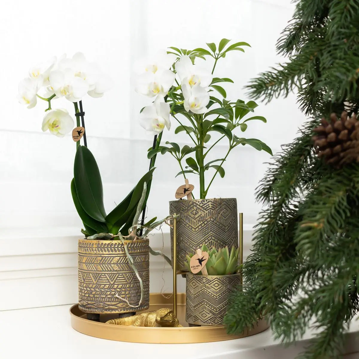 Kolibri Home | Plantenstandaard - Gouden metalen planten verhoging Ø12cm Everspring