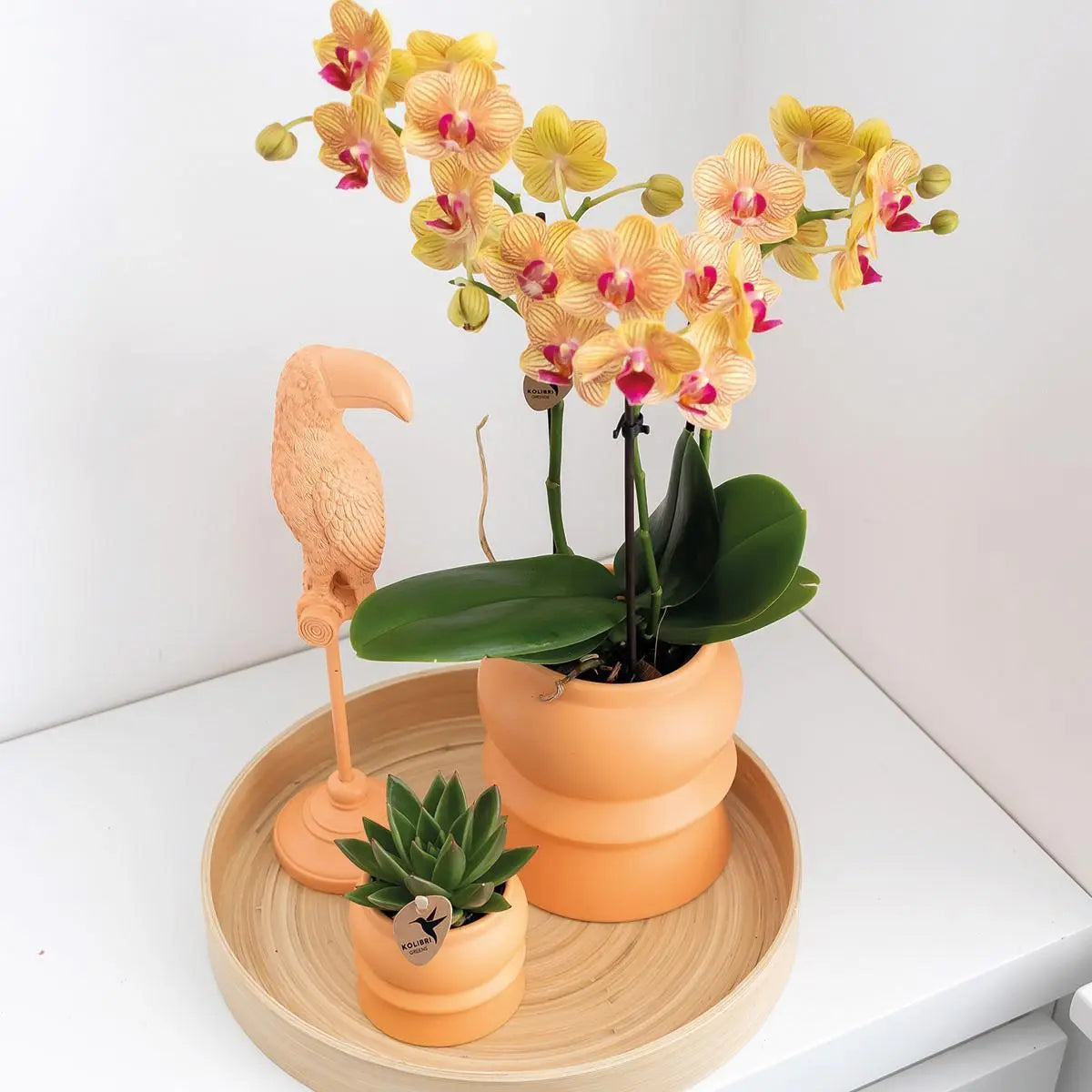 Kolibri Home | Ornament - Decoratie beeld Toucan - Peach Everspring