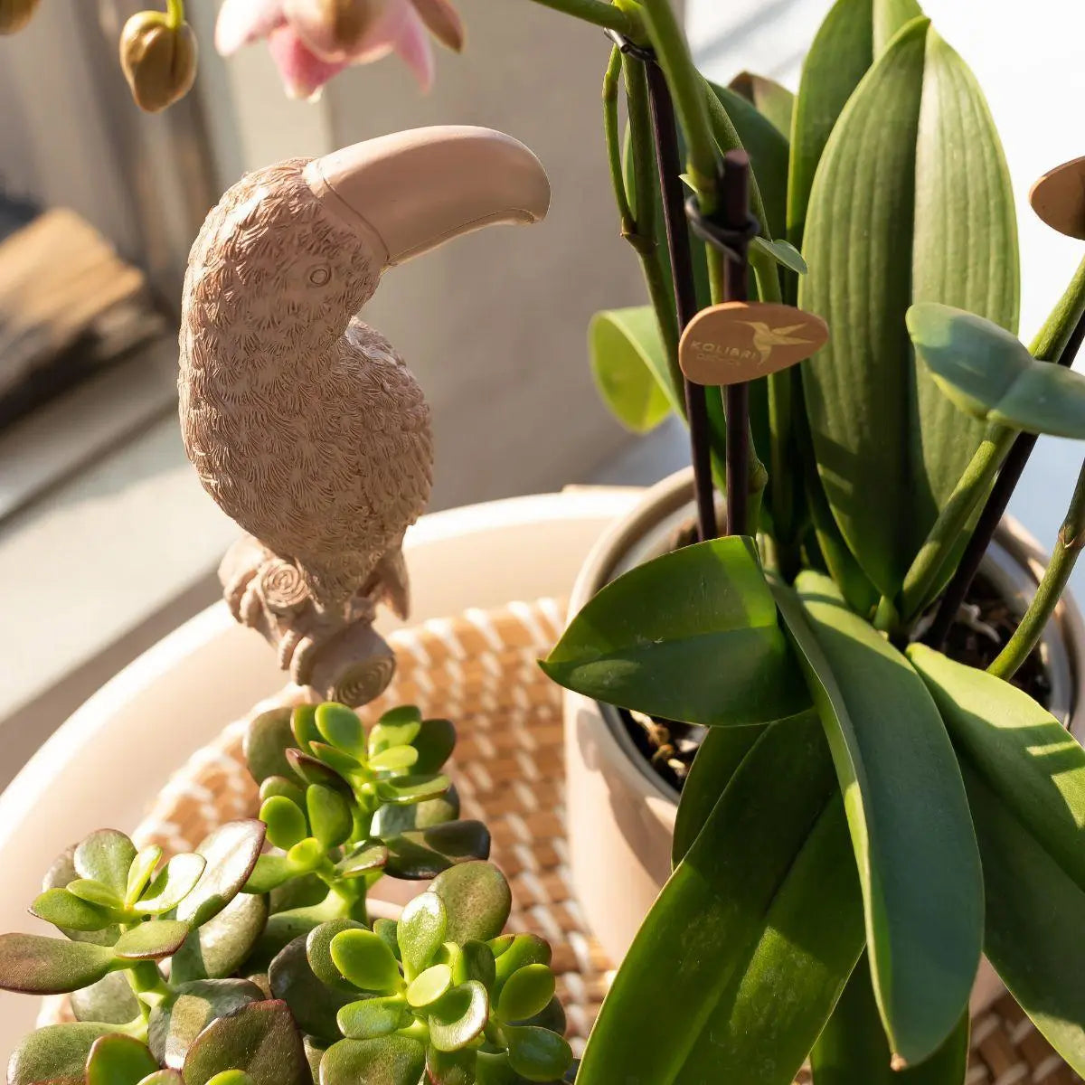 Kolibri Home | Ornament - Decoratie beeld Toucan - Nude Everspring