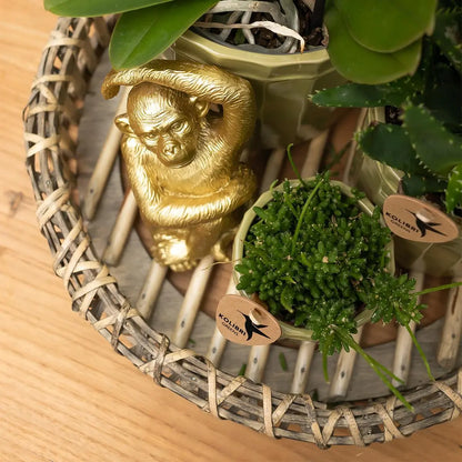 Kolibri Home | Ornament - Decoratie beeld Sitting Monkey - Gold Everspring