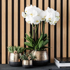 Kolibri Orchids | geel rode Phalaenopsis orchidee – Spain + Elite sierpot copper – potmaat Ø9cm – 40cm hoog | bloeiende kamerplant in bloempot - vers van de kweker Everspring