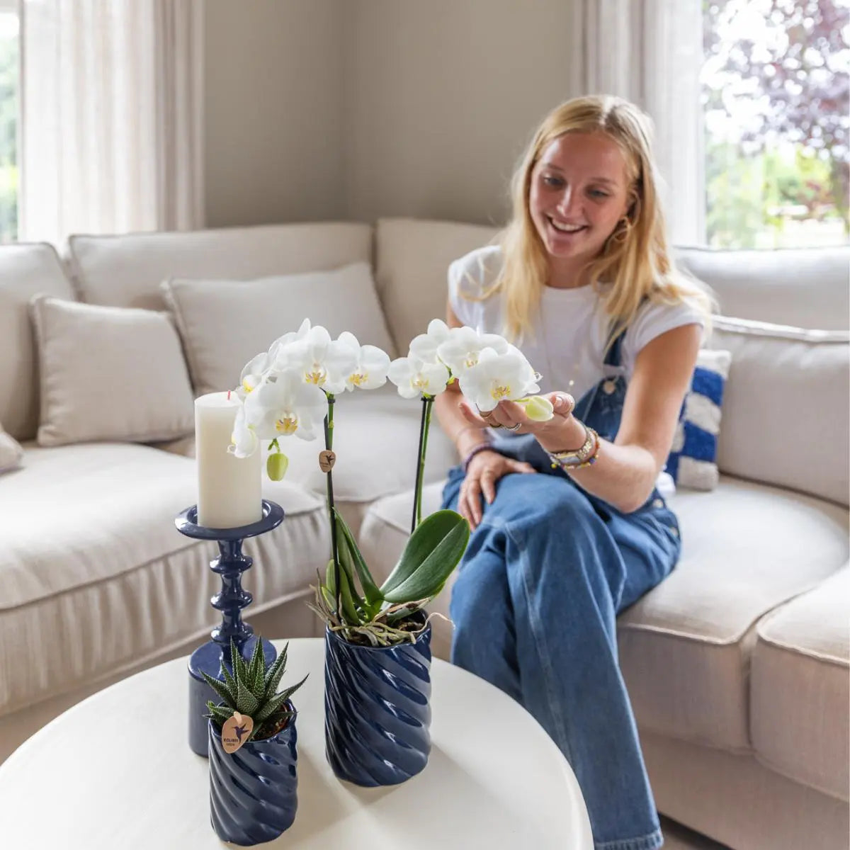 Kolibri Orchids | Set van witte orchidee Amabilis en succulent in Candy sierpotten blauw - potmaat Ø9cm & Ø6cm | bloeiende kamerplant - vers van de kweker Everspring