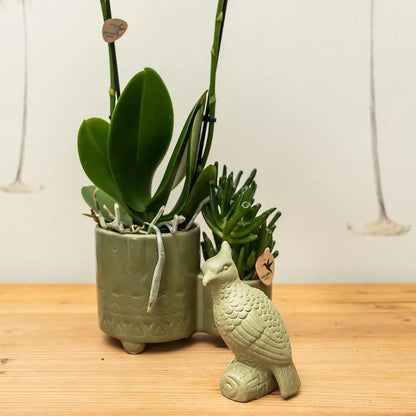 Kolibri Home | Ornament - Decoratie beeld Cockatoo - Green Everspring