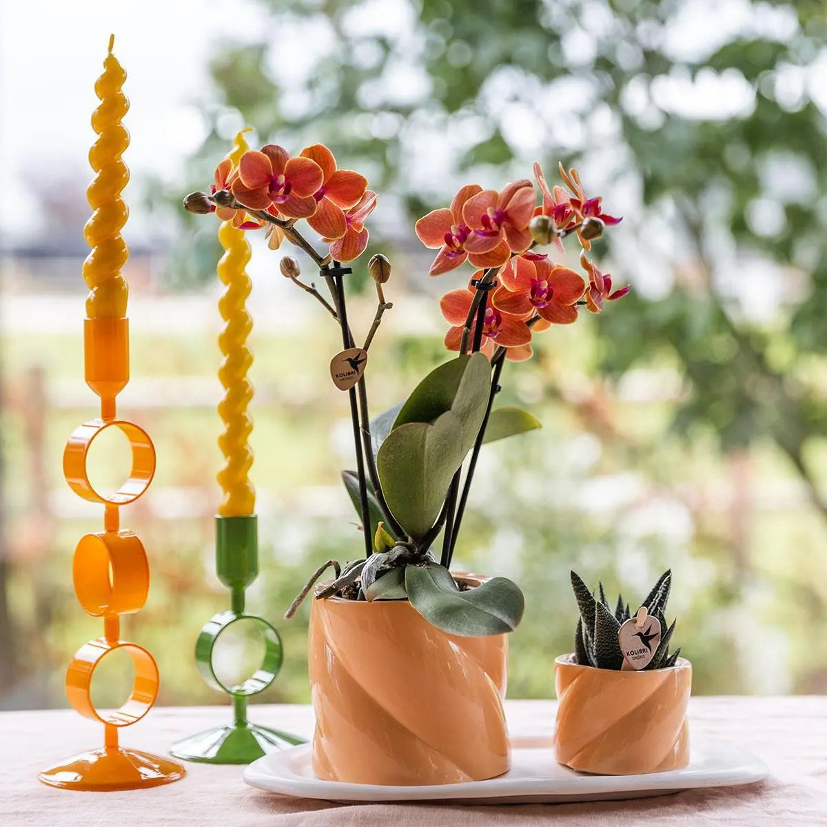 Kolibri Orchids | Gift set Optimism small peach | Groene plant met oranje Phalaenopsis orchidee in Candy sierpotten op wit organisch dienblad Everspring