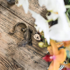 Kolibri Home | Ornament - Zwart/ gouden decoratie Lizard Everspring