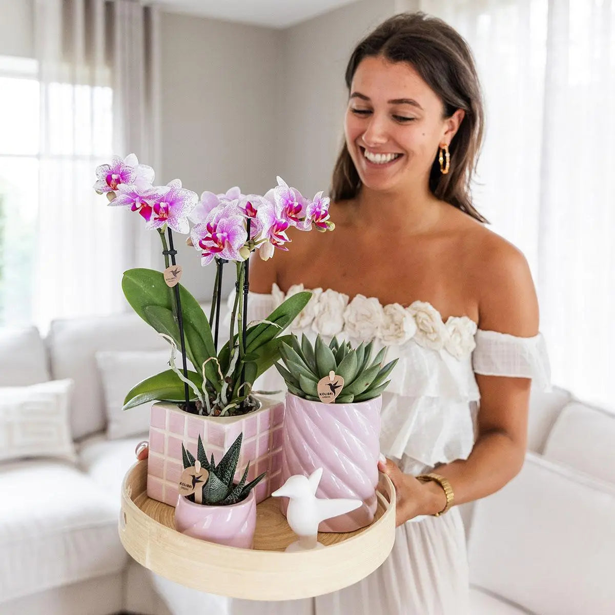 Kolibri Company | Gift set Colourful Optimism | Plantenset met roze Phalaenopsis Orchidee en Succulenten incl. keramieken sierpotten Everspring