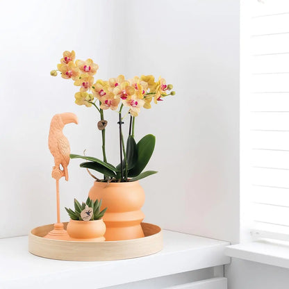 Kolibri Home | Ornament - Decoratie beeld Toucan - Peach Everspring