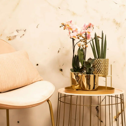 Kolibri Home | Plantenstandaard - Gouden metalen planten verhoging Ø12cm Everspring