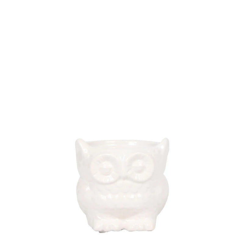 Kolibri Home | Owl bloempot - Witte keramieken sierpot - Ø6cm Everspring