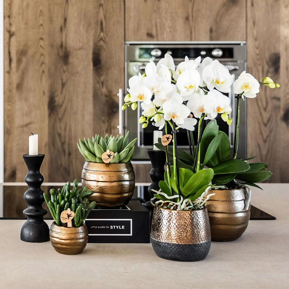 Kolibri Orchids | geel rode Phalaenopsis orchidee – Spain + Elite sierpot copper – potmaat Ø9cm – 40cm hoog | bloeiende kamerplant in bloempot - vers van de kweker Everspring