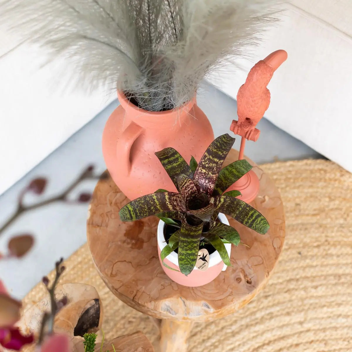 Kolibri Home | Ornament - Decoratie beeld Toucan - Terracotta Everspring