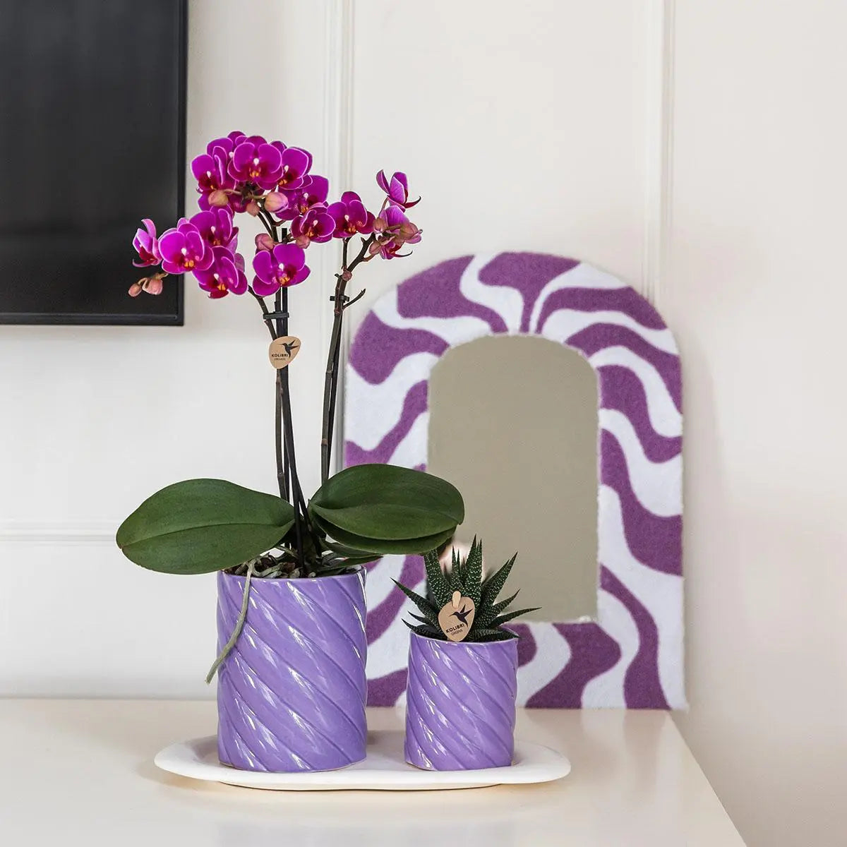 Kolibri Orchids | Gift set Optimism small lila | Groene plant met oranje Phalaenopsis orchidee in Candy sierpotten op wit organisch dienblad Everspring