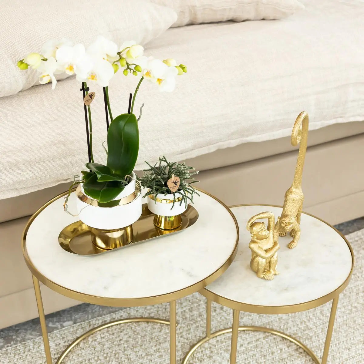 Kolibri Home | Ornament - Decoratie beeld Monkey long tail - Gold Everspring