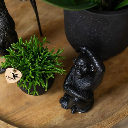 Kolibri Home | Ornament - Decoratie beeld Sitting Monkey - Black Everspring