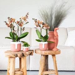 Kolibri Home | Ornament - Decoratie beeld Toucan - Terracotta Everspring