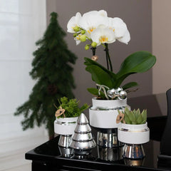 Kolibri Home | Le Chic bloempot - Witte keramieken sierpot met zilveren details - Ø6cm Everspring