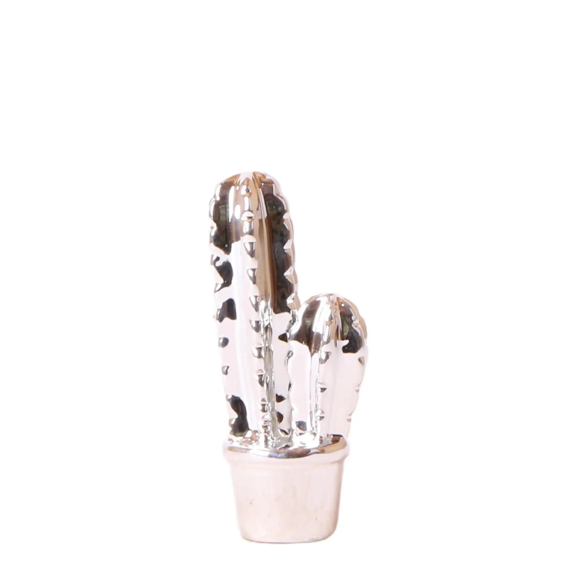 Kolibri Home | Ornament - Decoratie beeld Cactus - Silver Everspring