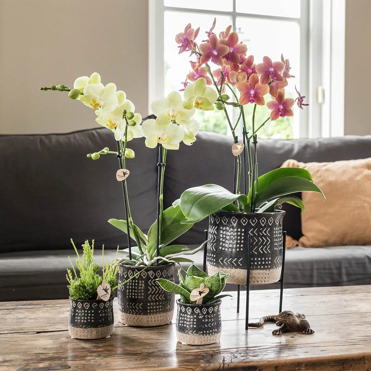 Kolibri Home | Plantenstandaard - Zwart metalen planten verhoging Ø12cm Everspring