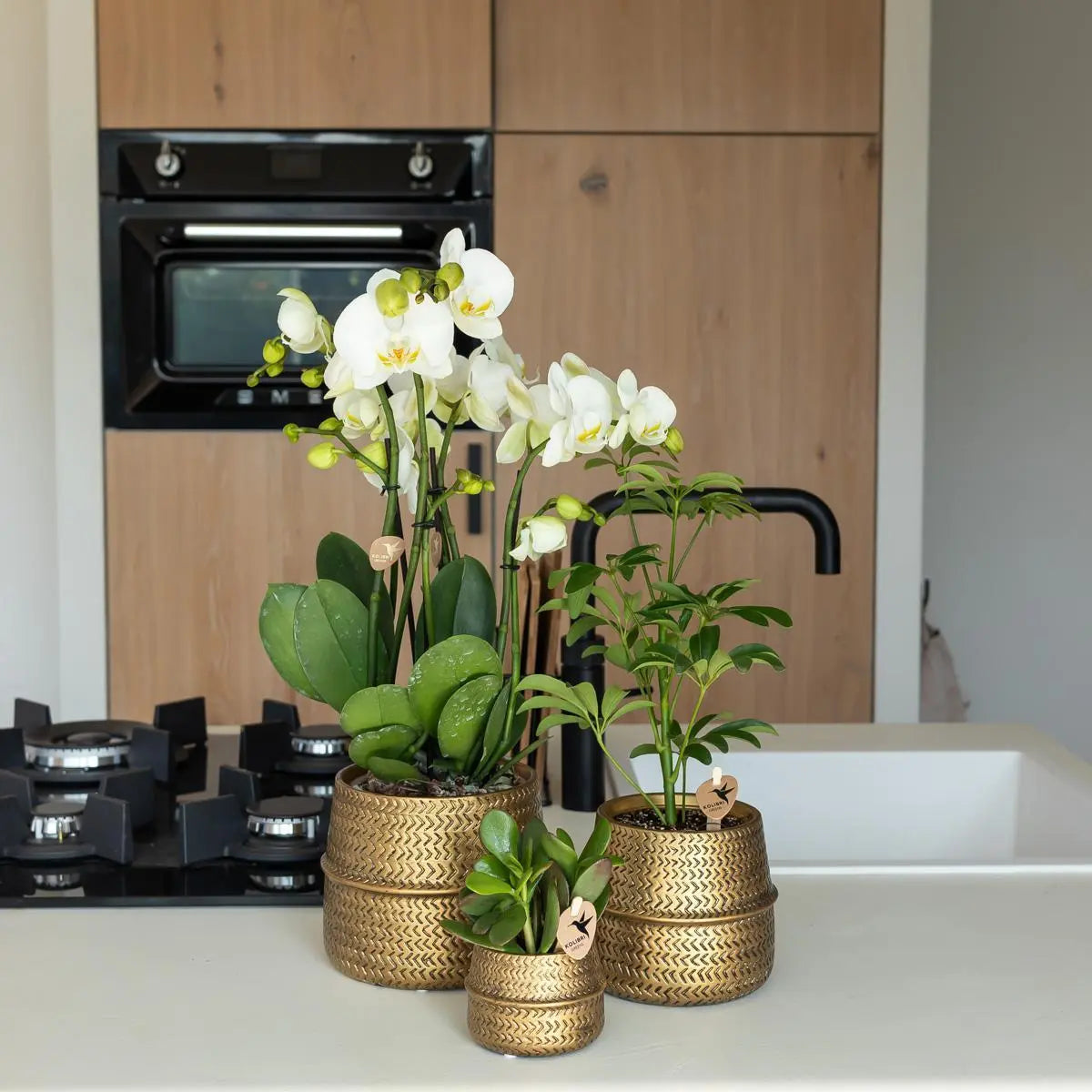 Kolibri Home | Groove bloempot - Gouden keramieken sierpot - potmaat - Ø9cm Everspring