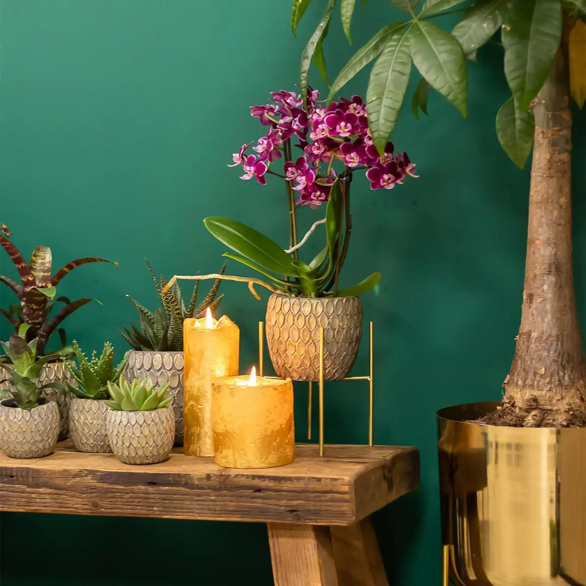 Kolibri Home | Plantenstandaard - Gouden metalen planten verhoging Ø12cm Everspring