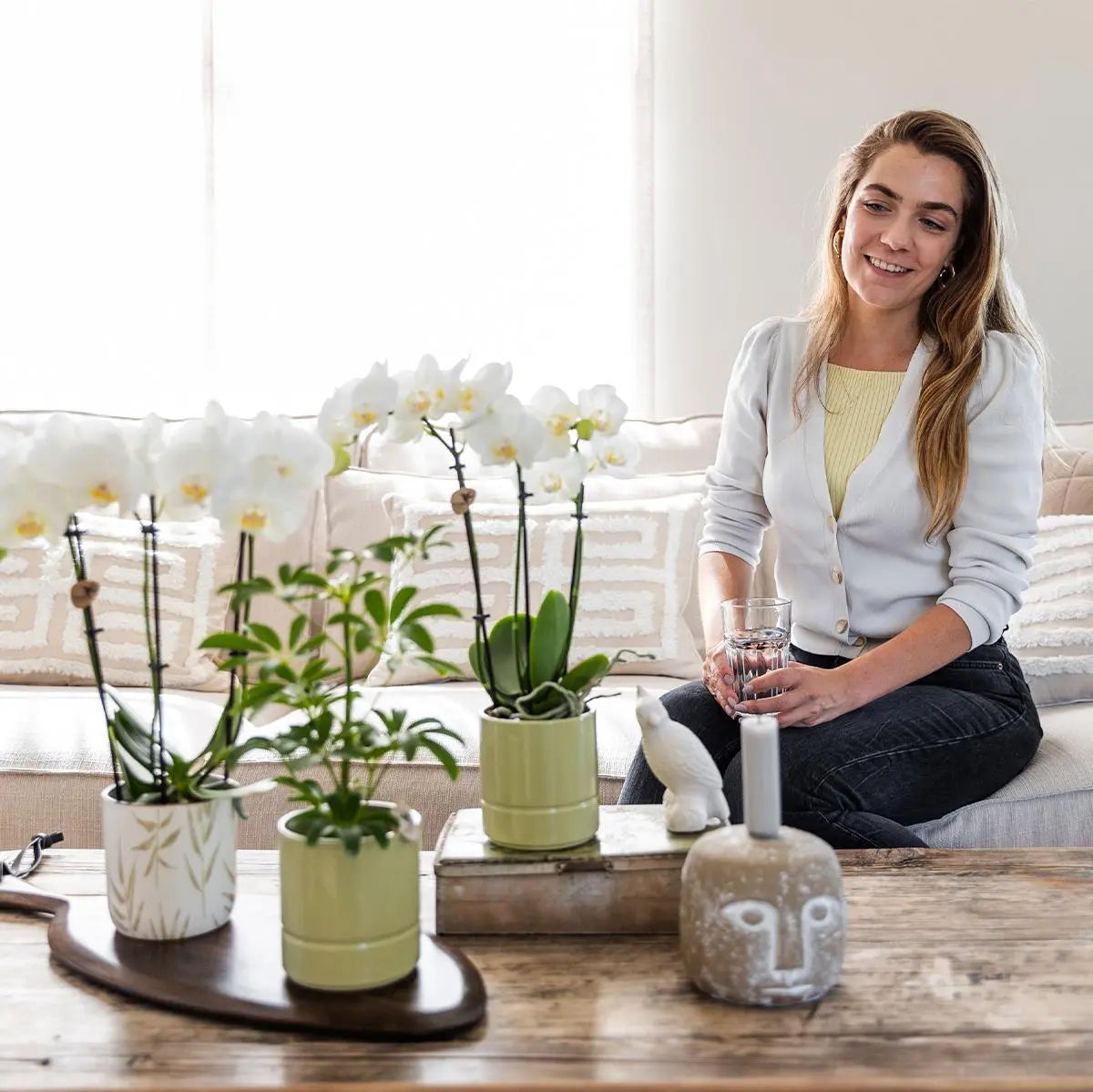 Kolibri Orchids | witte Phalaenopsis orchidee - Amabilis + Leaf pot green - potmaat Ø9cm | bloeiende kamerplant - vers van de kweker Everspring