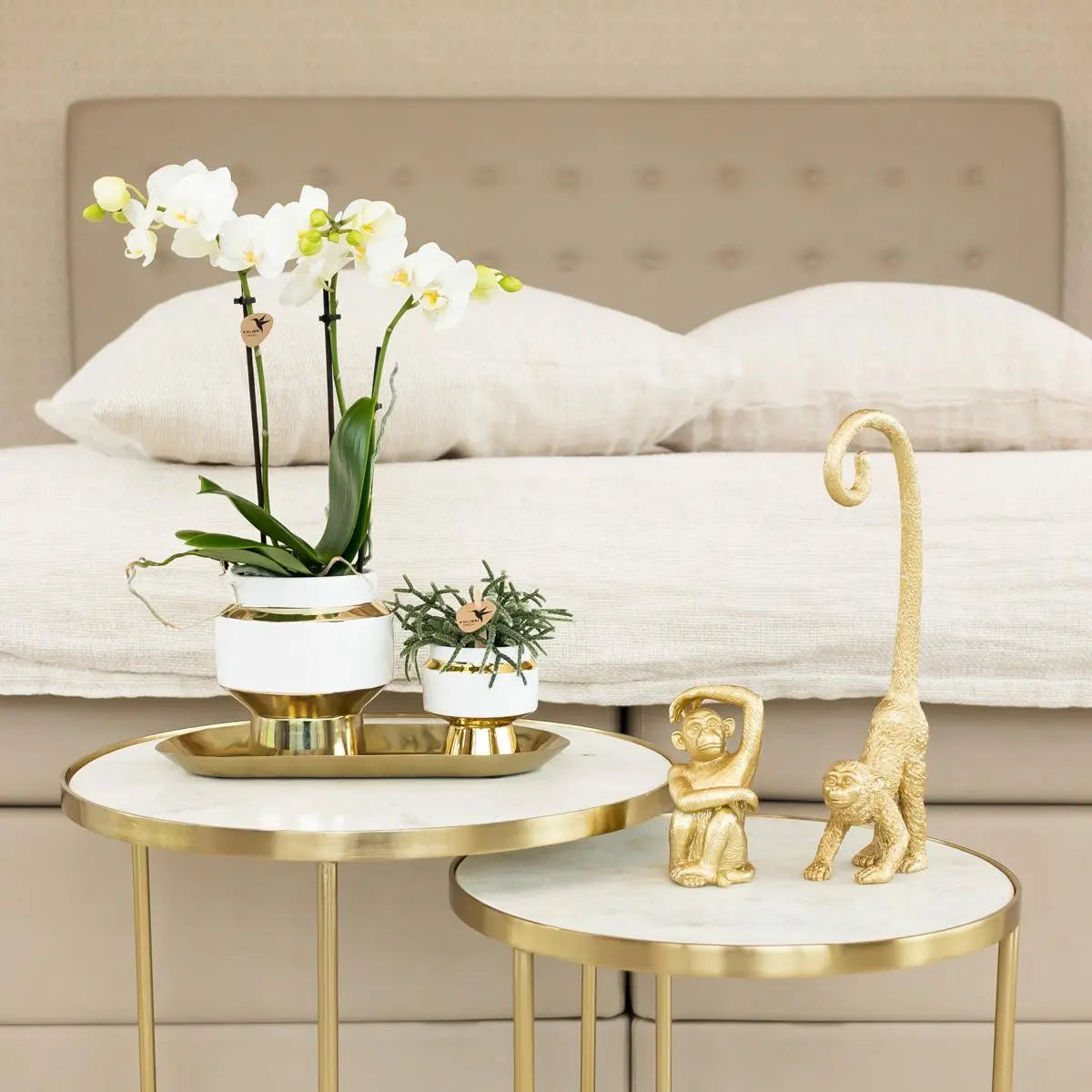 Kolibri Home | Le Chic bloempot - Witte keramieken sierpot met gouden details - Ø9cm Everspring